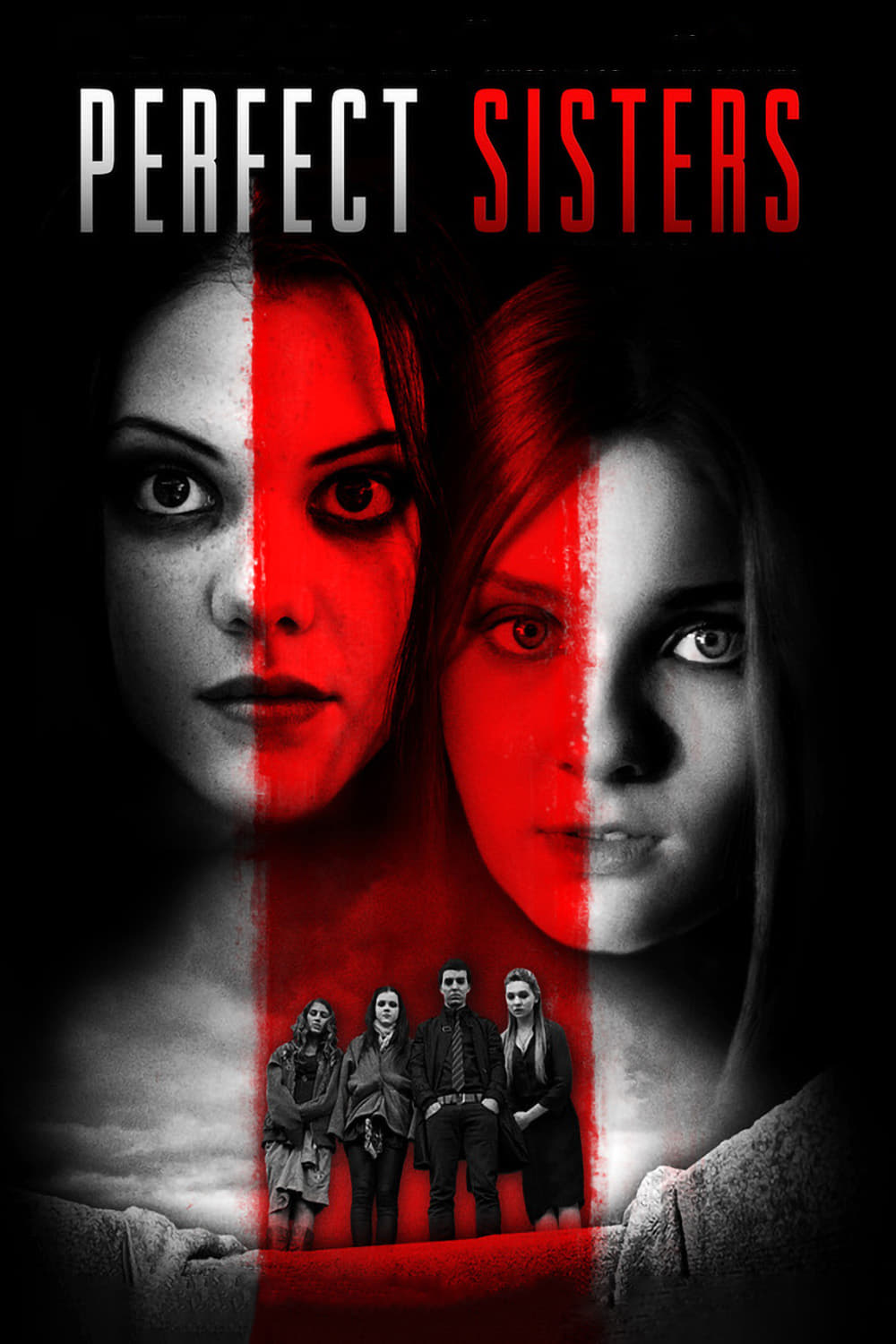 Постер Perfect Sisters
